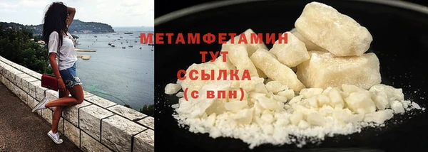 стаф Козловка