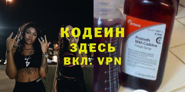 дурь Кодинск