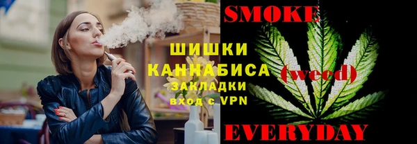 прущий лед Костерёво