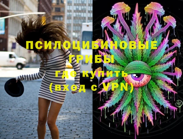 стаф Козловка