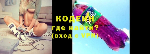 индика Коряжма