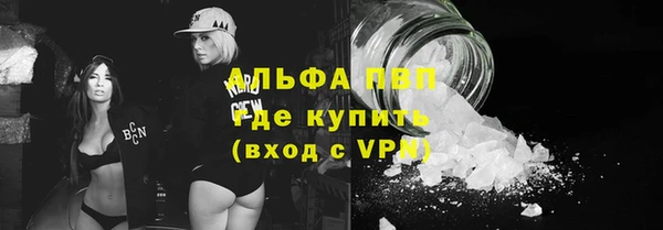 стаф Козловка