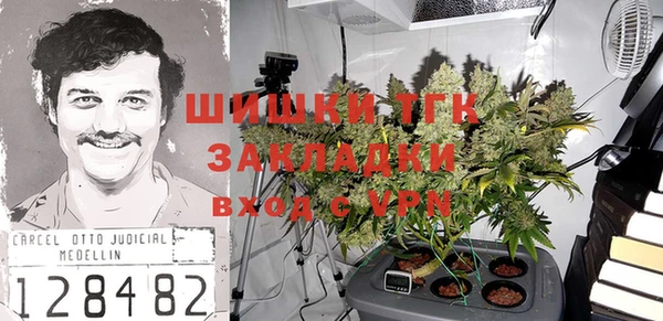 индика Коряжма