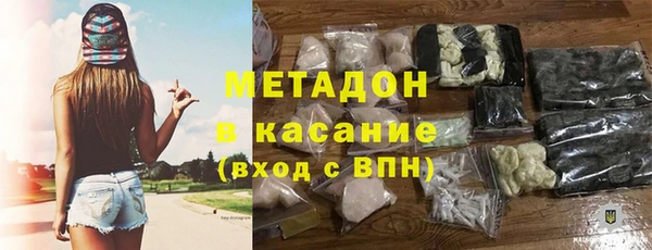 стаф Козловка
