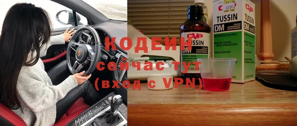 прущий лед Костерёво