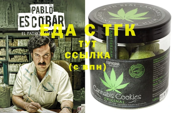 стаф Козловка