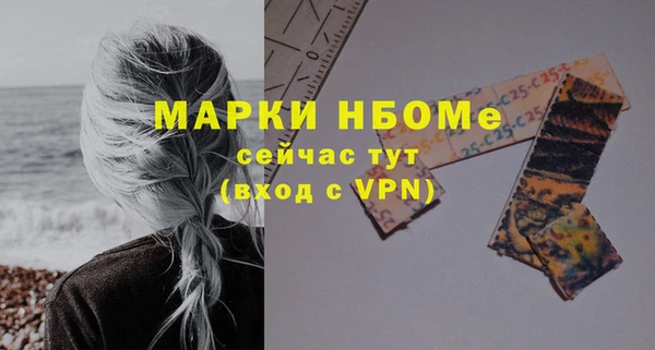 индика Коряжма