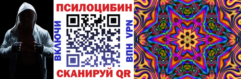 Псилоцибиновые грибы мицелий  Купить закладки  Тотьма 